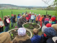 Hochbeet 4