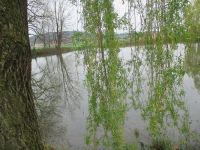 Wassertag06