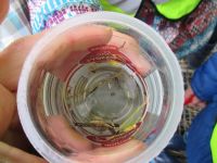 Wassertag18
