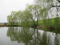 Wassertag29
