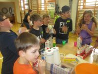 Img 7274