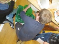 Img 7288