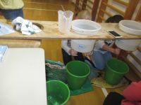 Img 7295